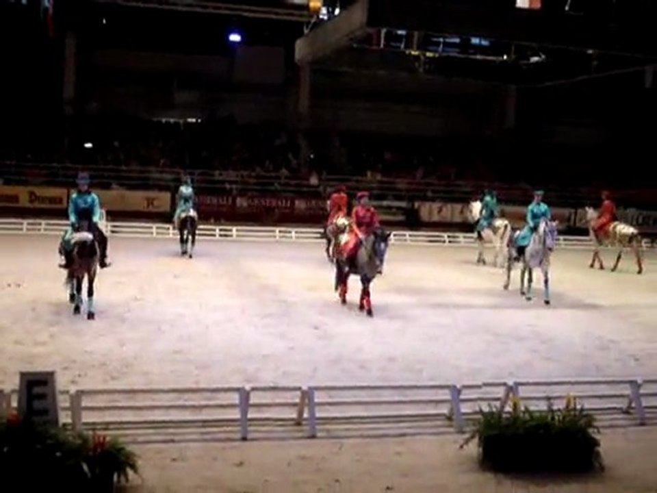 Carrousel Bayard ucpa - Salon du cheval part2