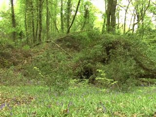 Arabic-Web-Radiation fears surround France's old uranium mines