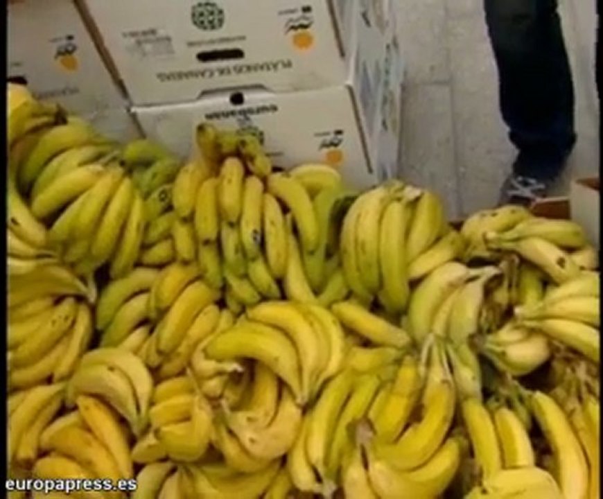 El plátano canario en peligro
