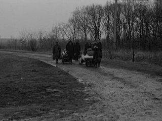 Satantango (Bela Tarr)