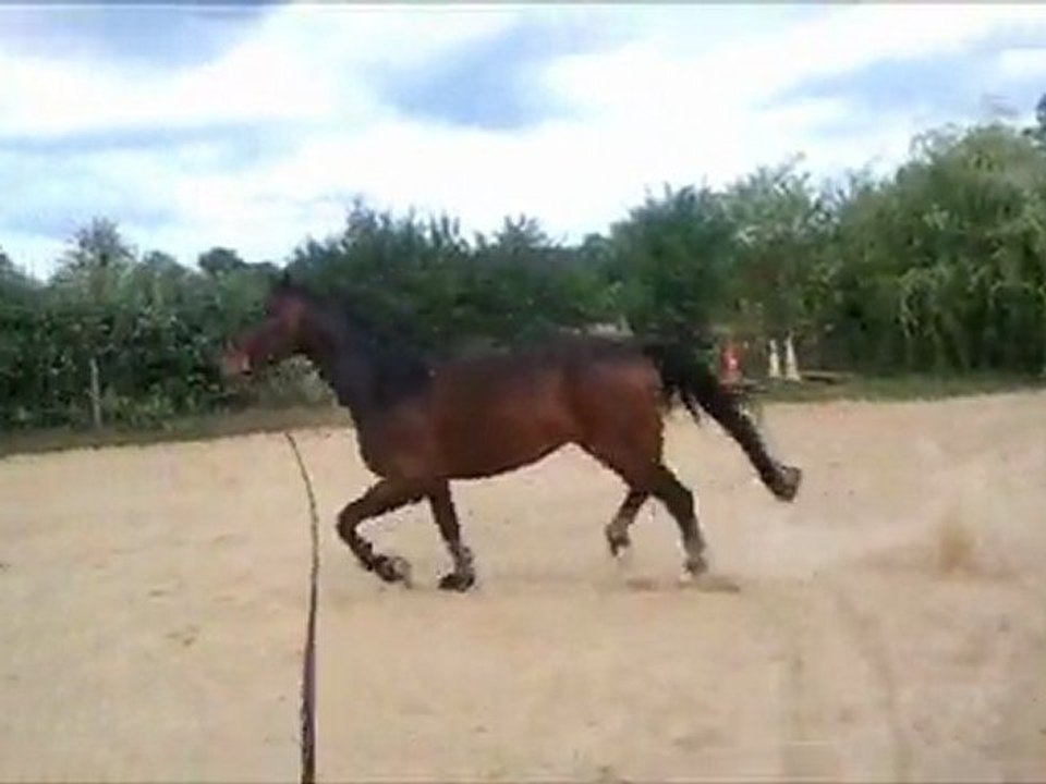 Einstein à la longe