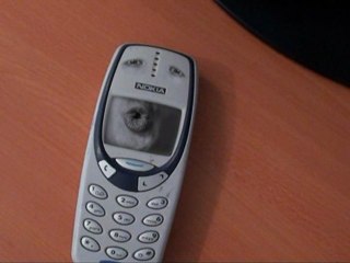 Nokia 3330 vs Nokia C5-03