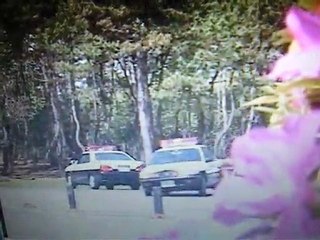 西部警察スペシャル