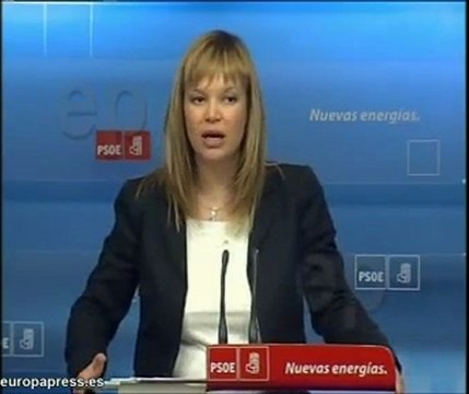 Pajín pide esfuerzos para salir de la crisis