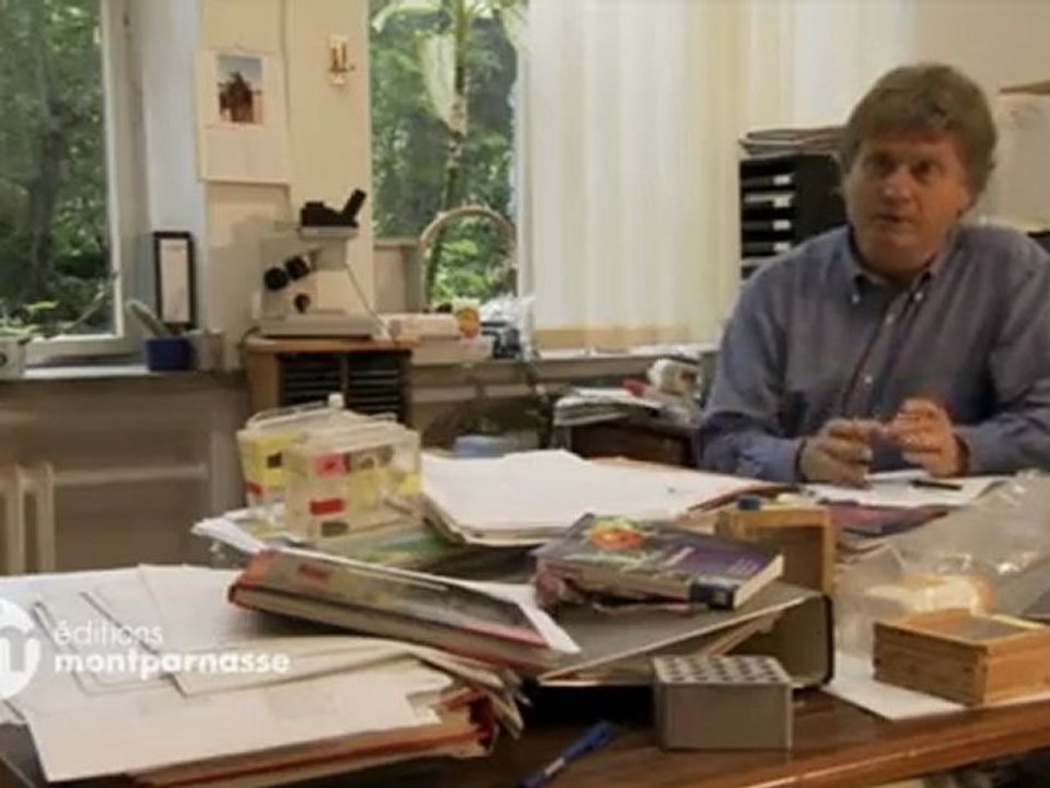 Disparition des abeilles, la fin d'un mystère - extrait 1