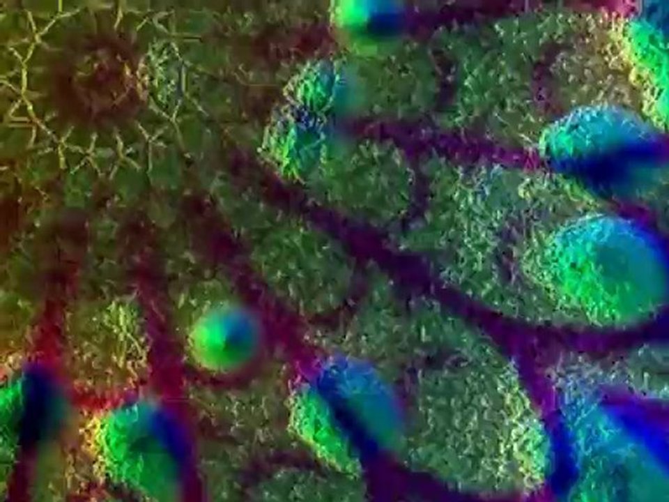trancezendance