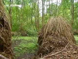 La Tourbière de Logné labellisé! (Loire Atlantique)