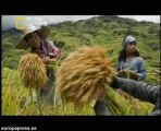 National Geographic reúne sus fotos más destacadas