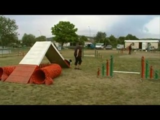 Flipper 7 mois et demi