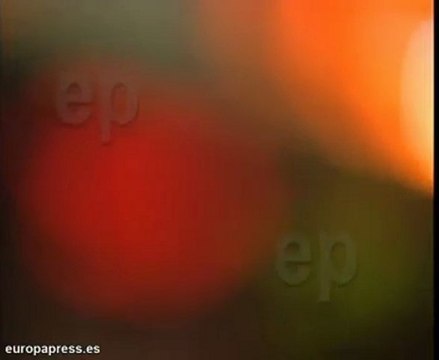 Ibex 35 sube un 0,34% en la apertura