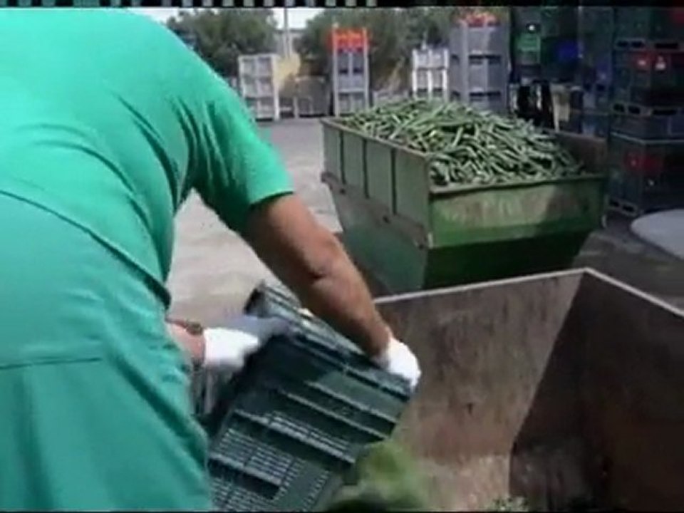 Rows over cucumber E.coli outbreak