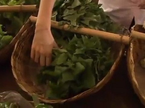 Orgânicos: mais baratos e na porta da sua casa