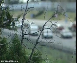 Operación salida, tranquila