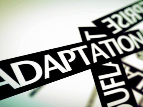 WebProduct.fr - Site Web Design - Référencement