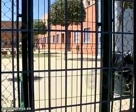 Menores heridos por balines en patio de colegio
