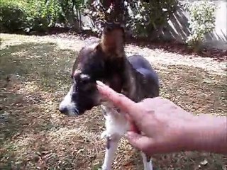 CALINE UN MOIS APRES