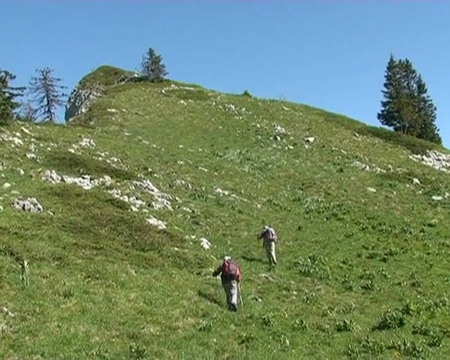 Crêtes d'Hurtières 1740 m  du col dela Charmette - Chartreuse