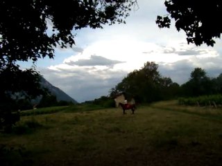 20110530 - Reg au trot : CA TOURNE !!!