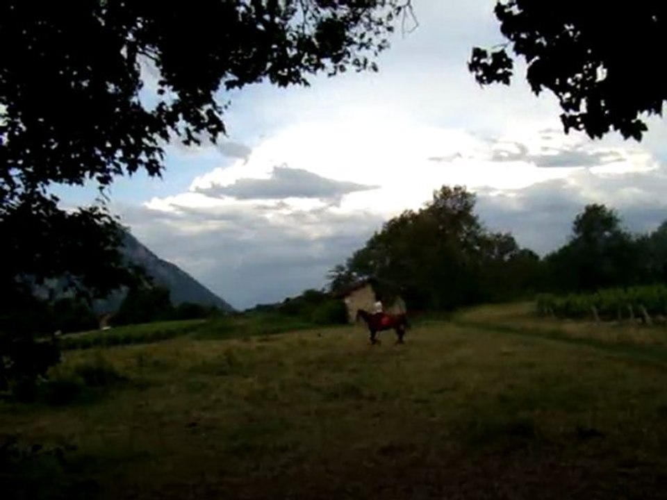 20110530 - Reg au trot : CA TOURNE !!!