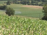 French agriculture wilts under drought conditions