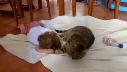 Solène joue avec Kumcat et lui fait un câlin
