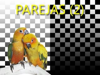 Parejas-II EDicion