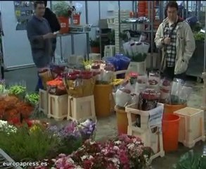 Seis millones de rosas en San Jordi