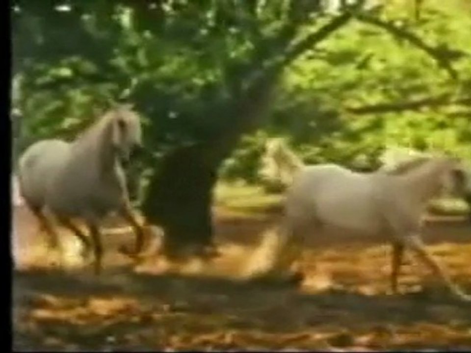 turkuaz3456  mezdeke yaaa amar...!!!