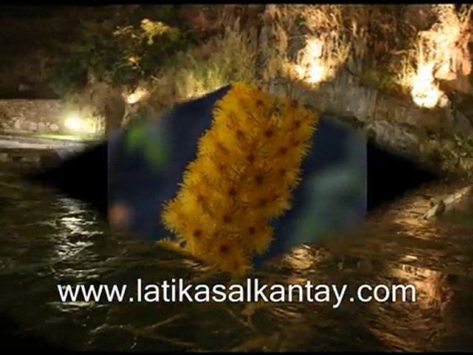 salkantay  trek - latika adventures
