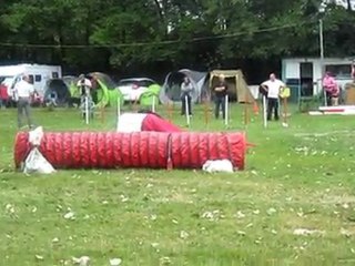 Rantanplan is not dead