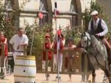 Le cheval lusitanien au Haras de la Roche-sur-Yon