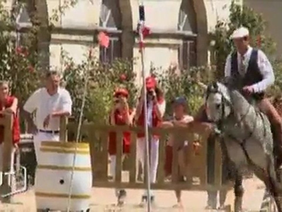 Le cheval lusitanien au Haras de la Roche-sur-Yon