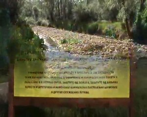 Eko patrola na putu za Staru planinu