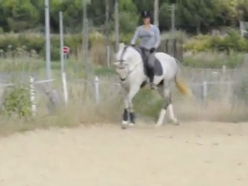 Patentado D5