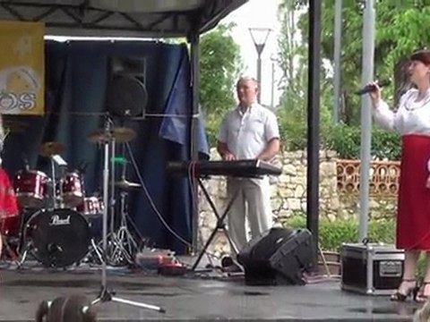 FESTA DOS POVOS 2011 LEIRIA