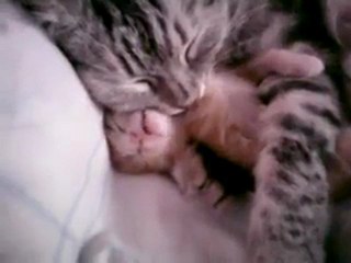 O nasıl bir SARILMA ve UYUMA :)) Böylesini görmediniz..