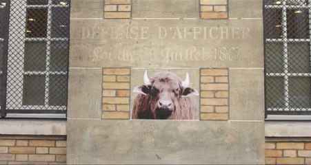 Affichage "sauvage" 4, les animaux dans les rues de Paris.