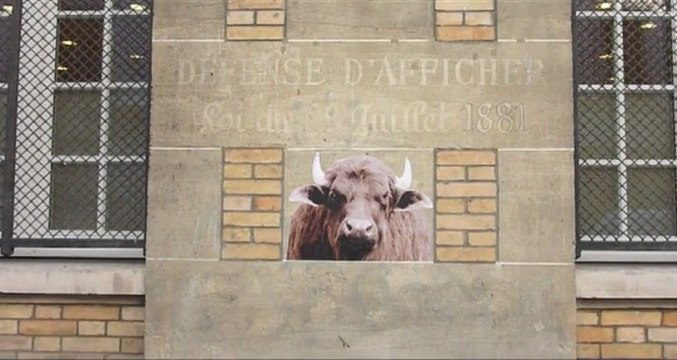Affichage sauvage 4, les animaux dans les rues de Paris.