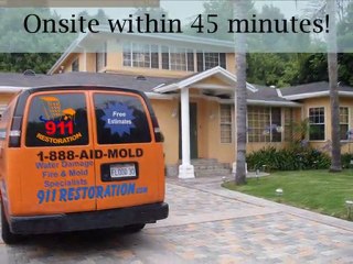 Mold Removal Beaverton - Call (888) 243-6653