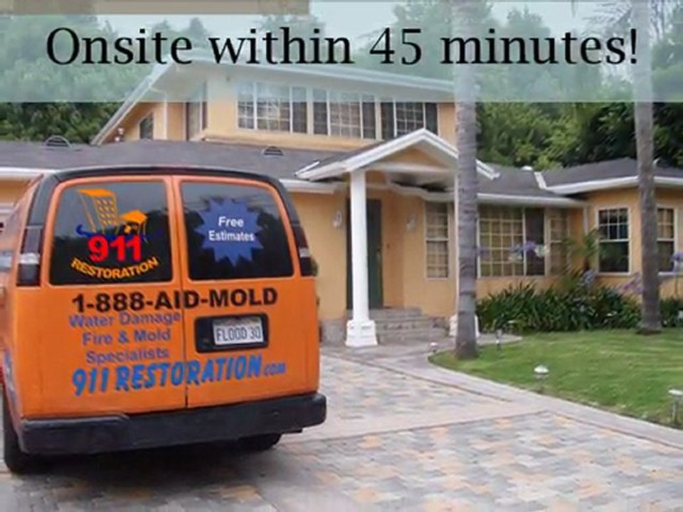 Mold Removal Gresham, OR - Call (888) 243-6653