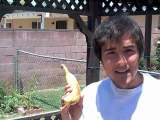 Raw Vegan Life.tv "Is the Banana the Best Food on a ...