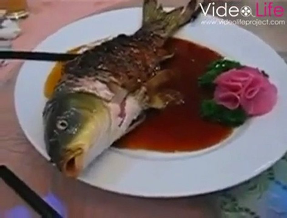 Hay Zıkkım Yiyin Ya :( :(