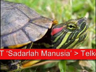 Dangdut RBT Terbaik 'Sadarlah Manusia'