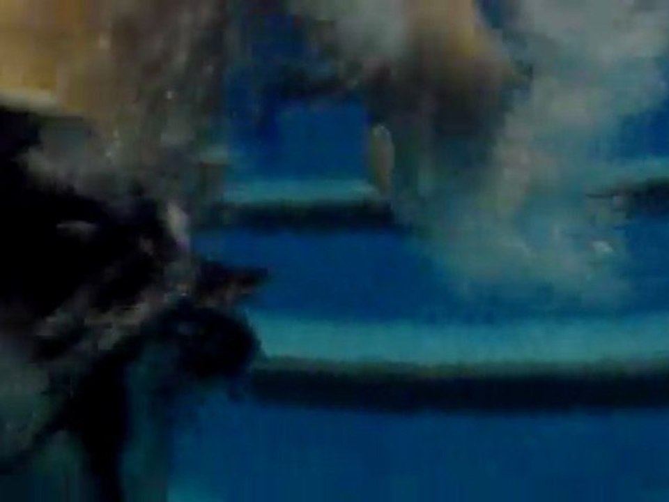A la piscine, sous l'eau !