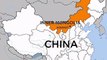 Chinese Riot Police Arrest Dozens in Inner Mongolia Protest