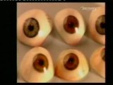Protesis oculares: Ojos artificiales