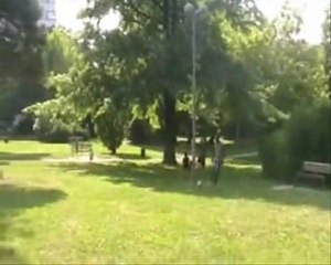 Jubilama Cellé : Oserez-vous relever le défi ? 💪