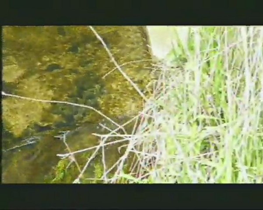 au fil de l'eau