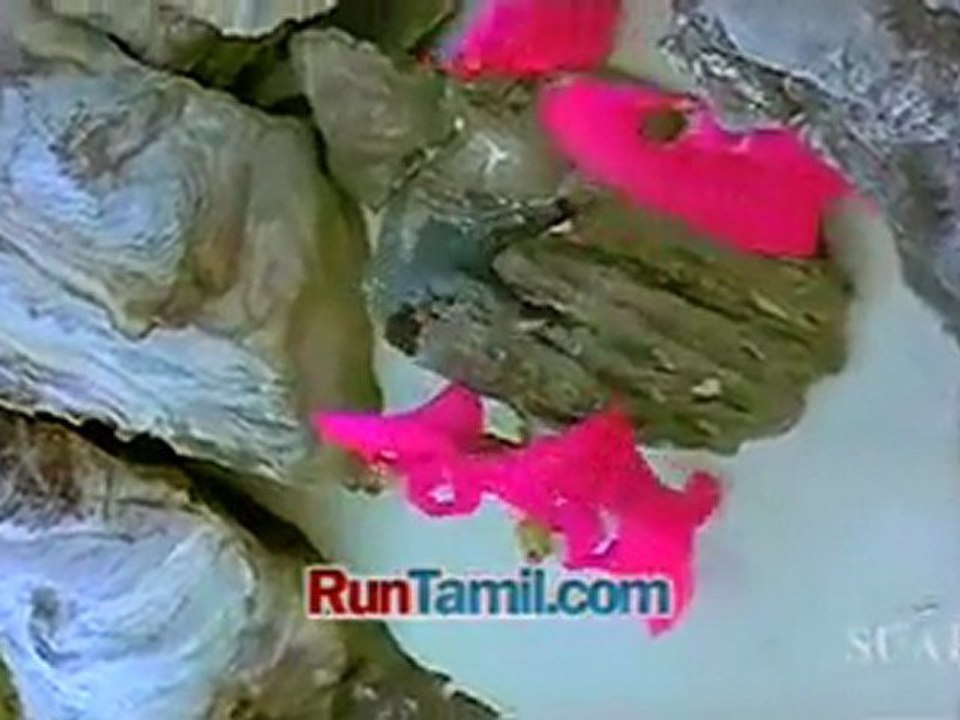 Chellam Vada Chellam