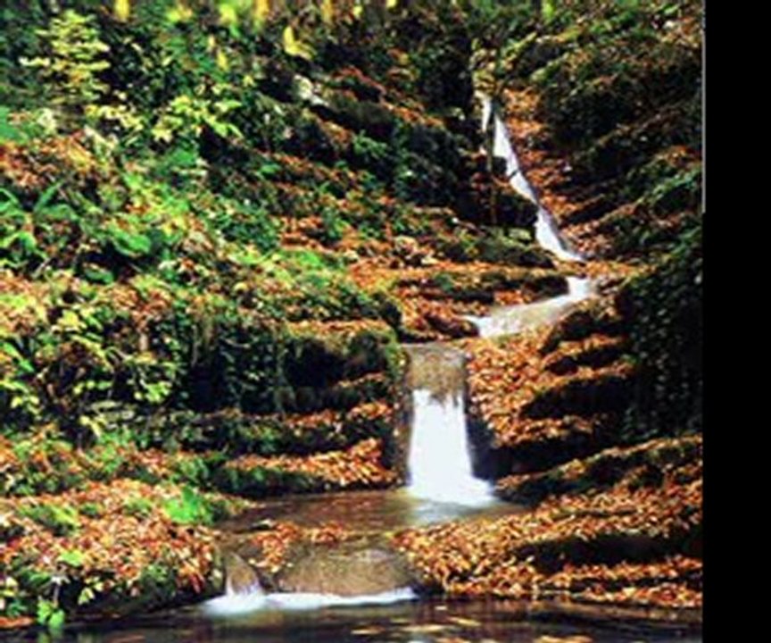 erfelek